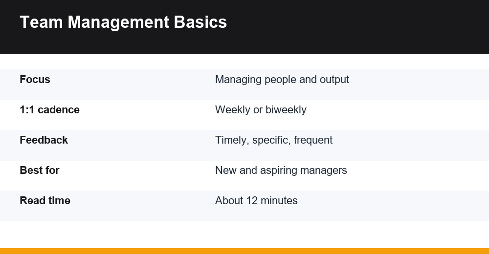 how to manage a team — infographic